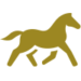 icons8-trotting-horse-100