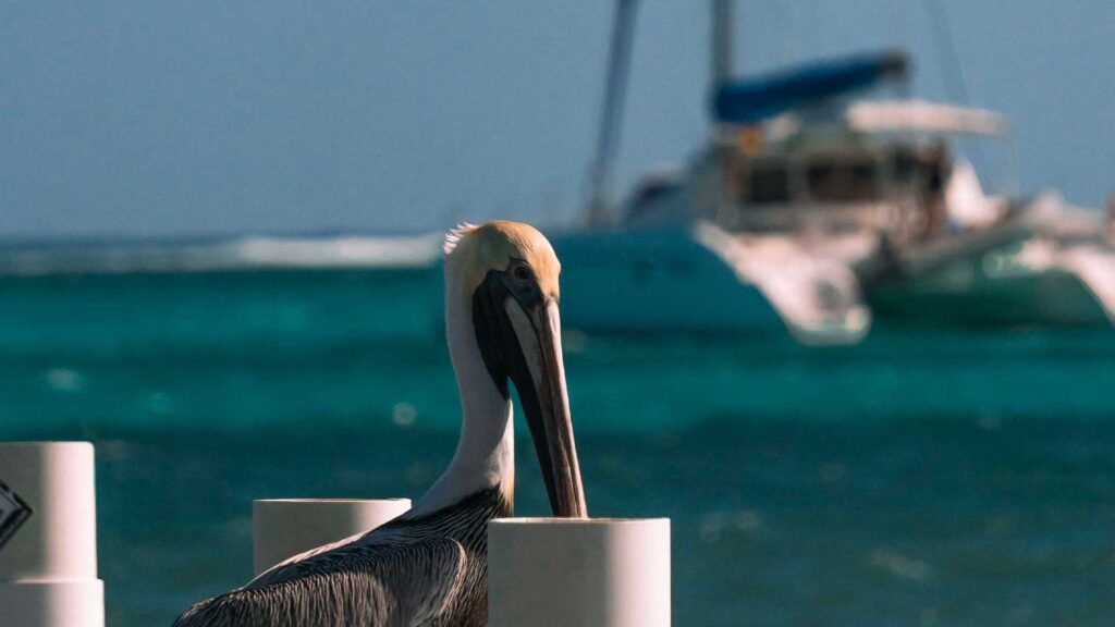 blog san pedro | Hunab-ku Adventours