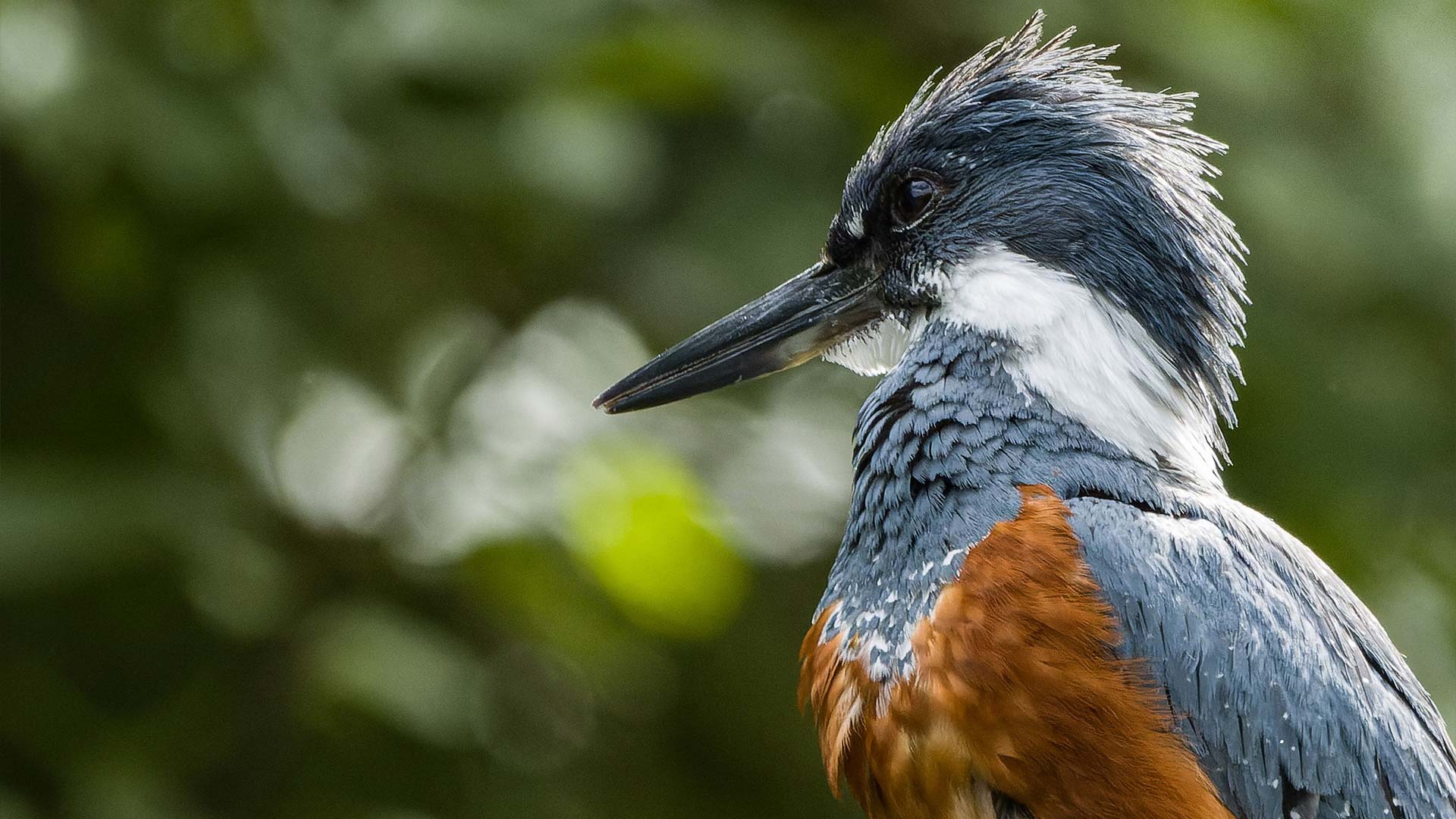 blog bird | Hunab-ku Adventours