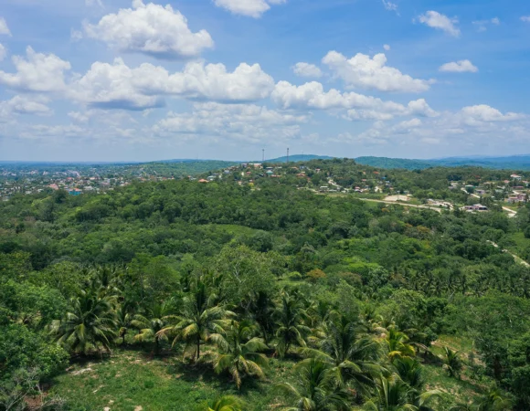 What to Do in San Ignacio, Belize: A Complete Travel Guide