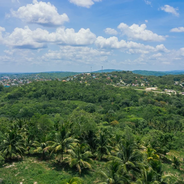 What to Do in San Ignacio, Belize: A Complete Travel Guide