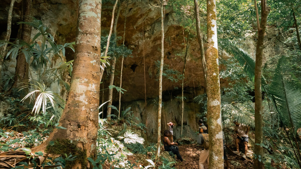 Biodiversity in Belize: 7 Amazing Reasons Nature Lovers Visit