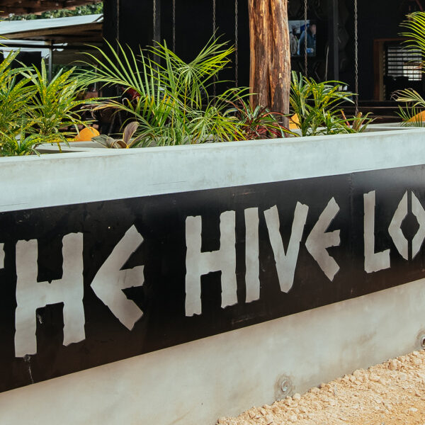 Where to Eat After a Tour in Belize: Recharge at The Hive Lounge